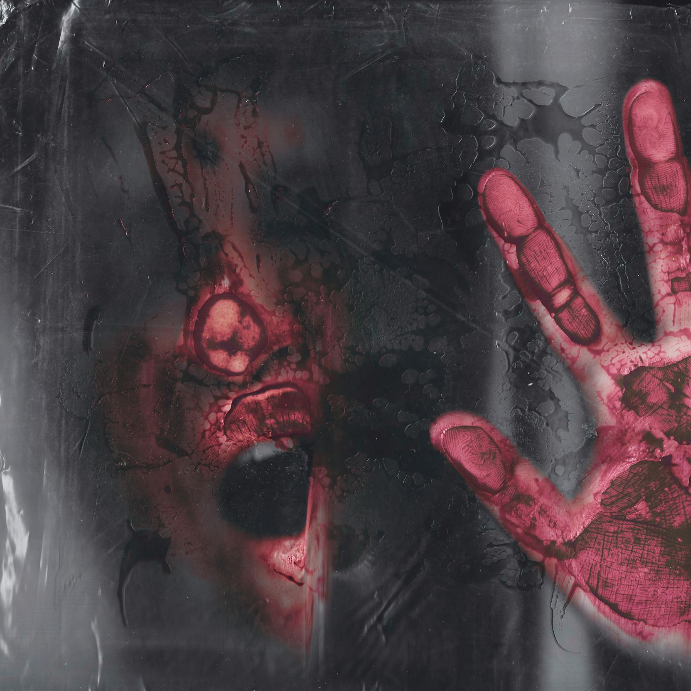 Reborn cover